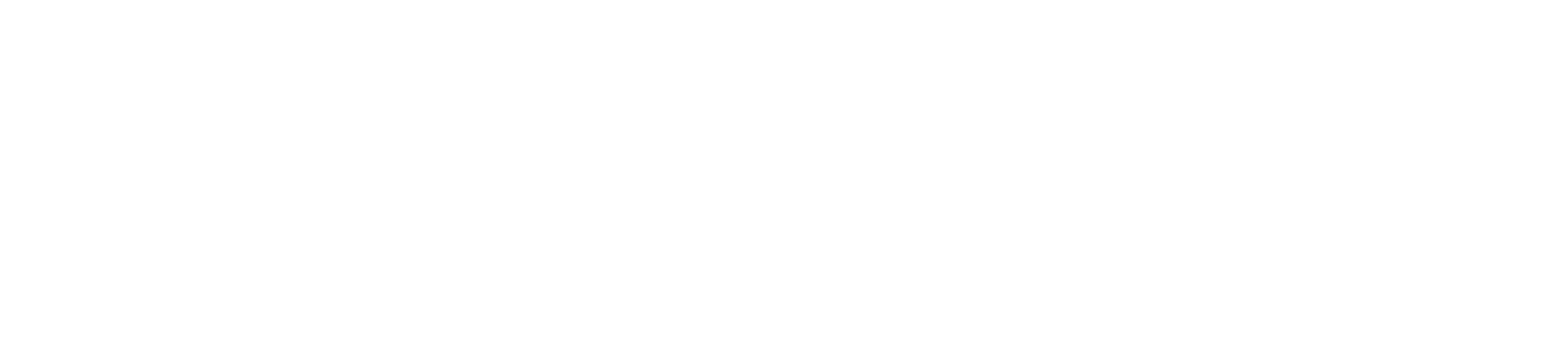 Seewee.AI
